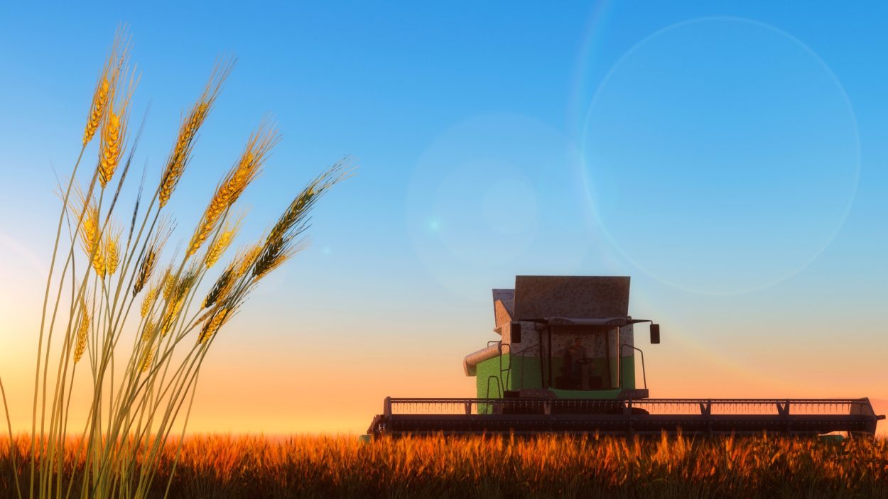 Lammas achtergrond zonder legpatroon
